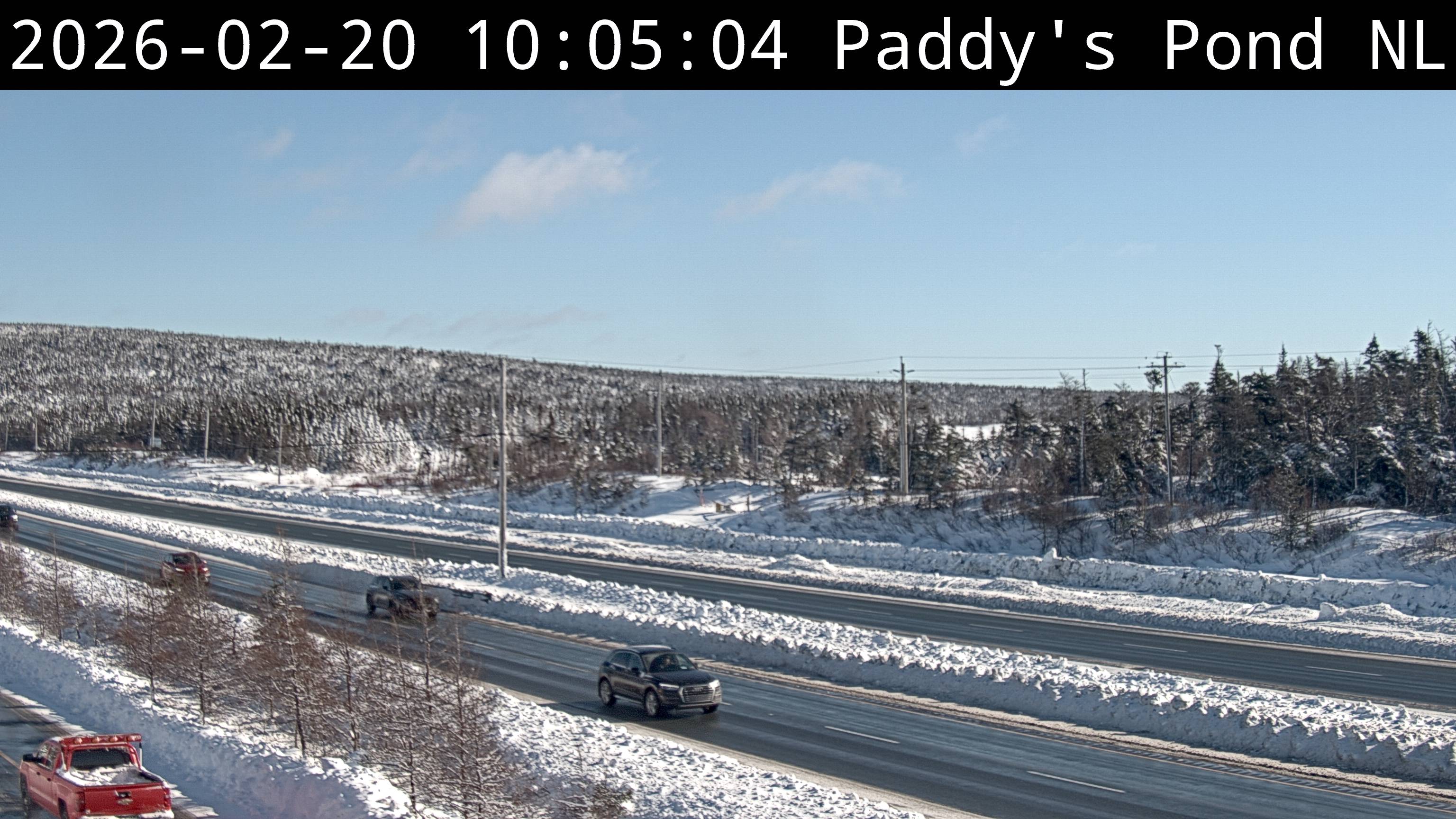 Paddy's Pond Live Camera Image