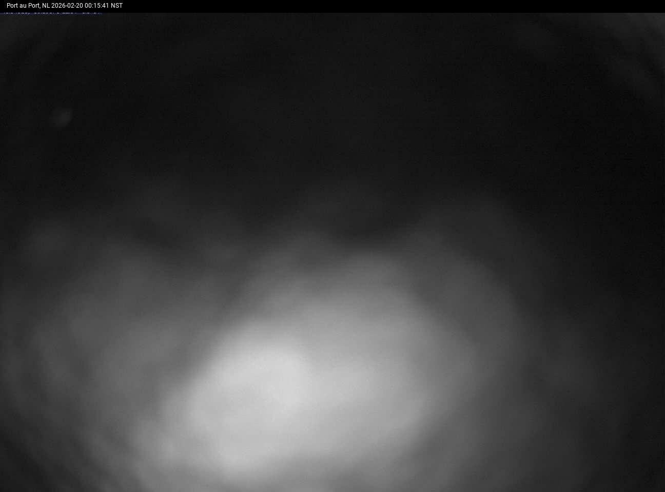 Port Au Port Live Camera Image