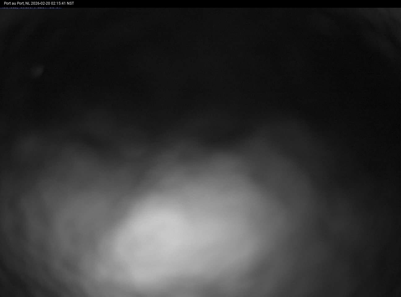 Port Au Port Live Camera Image