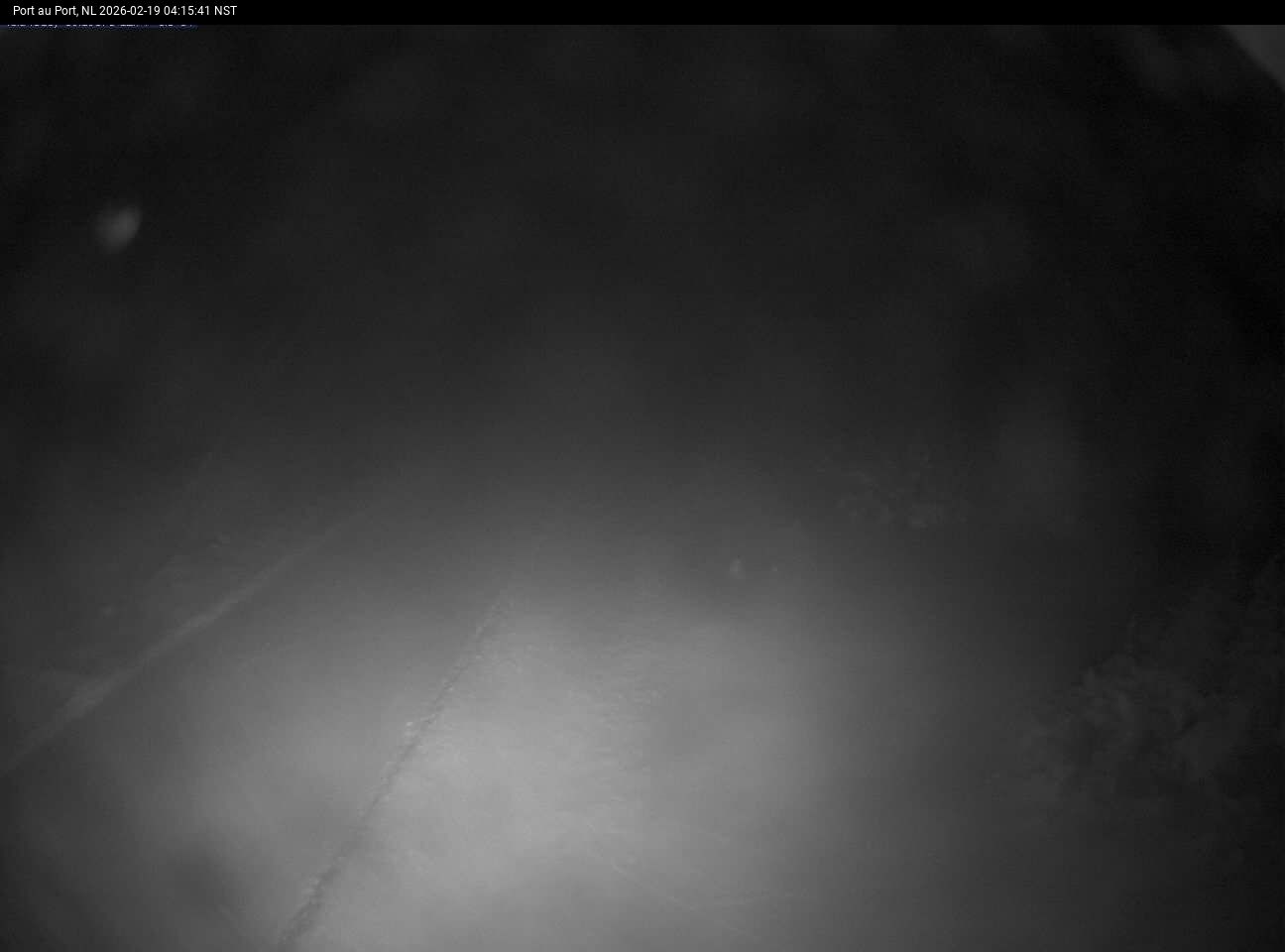 Port Au Port Live Camera Image