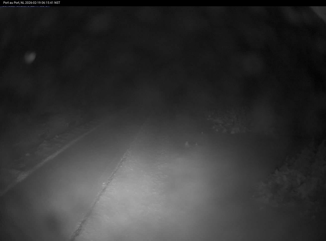 Port Au Port Live Camera Image