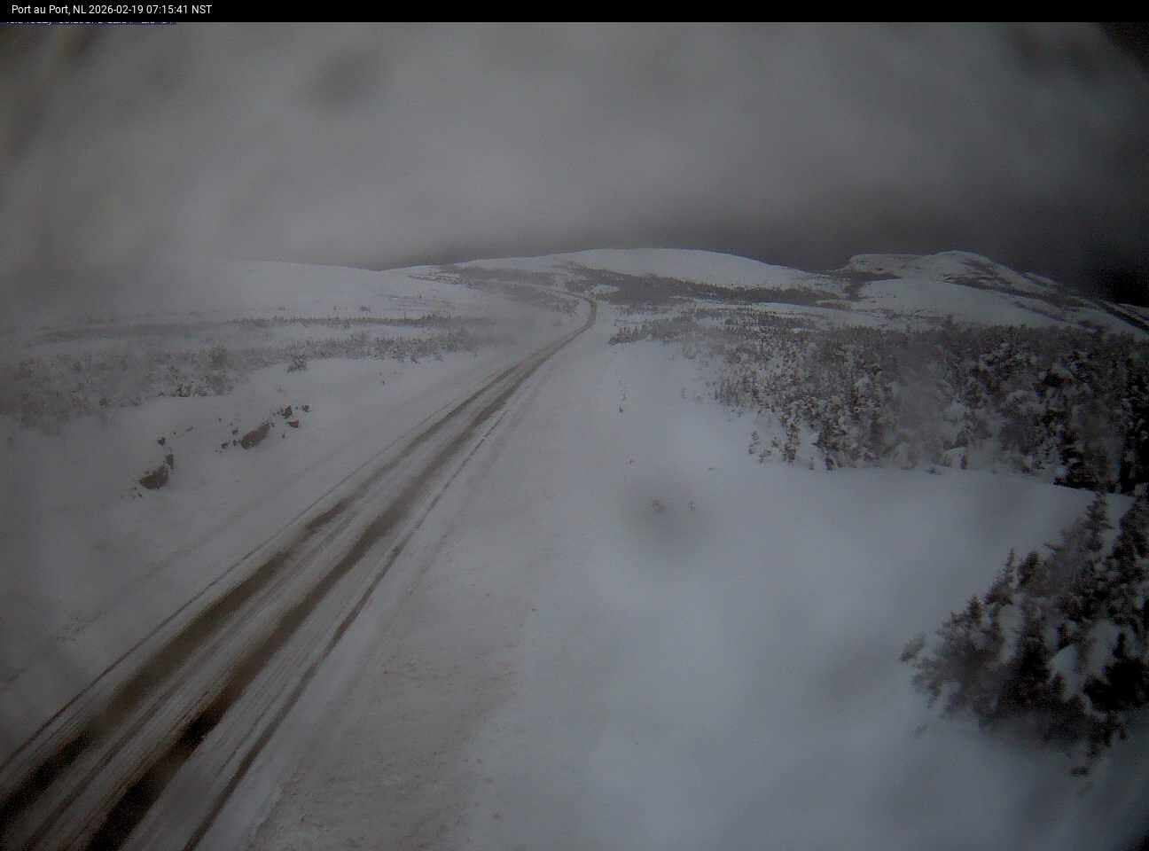 Port Au Port Live Camera Image