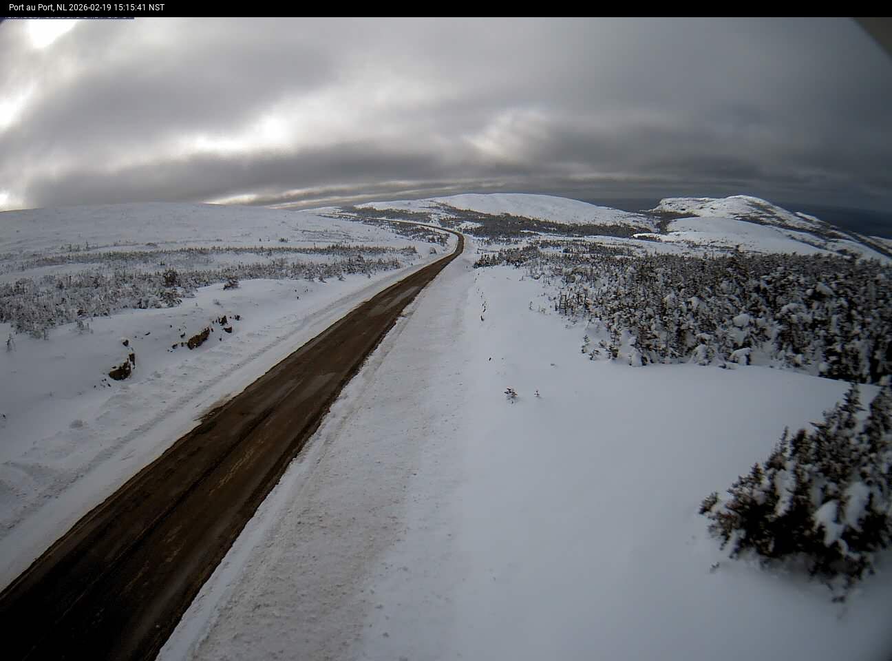 Port Au Port Live Camera Image