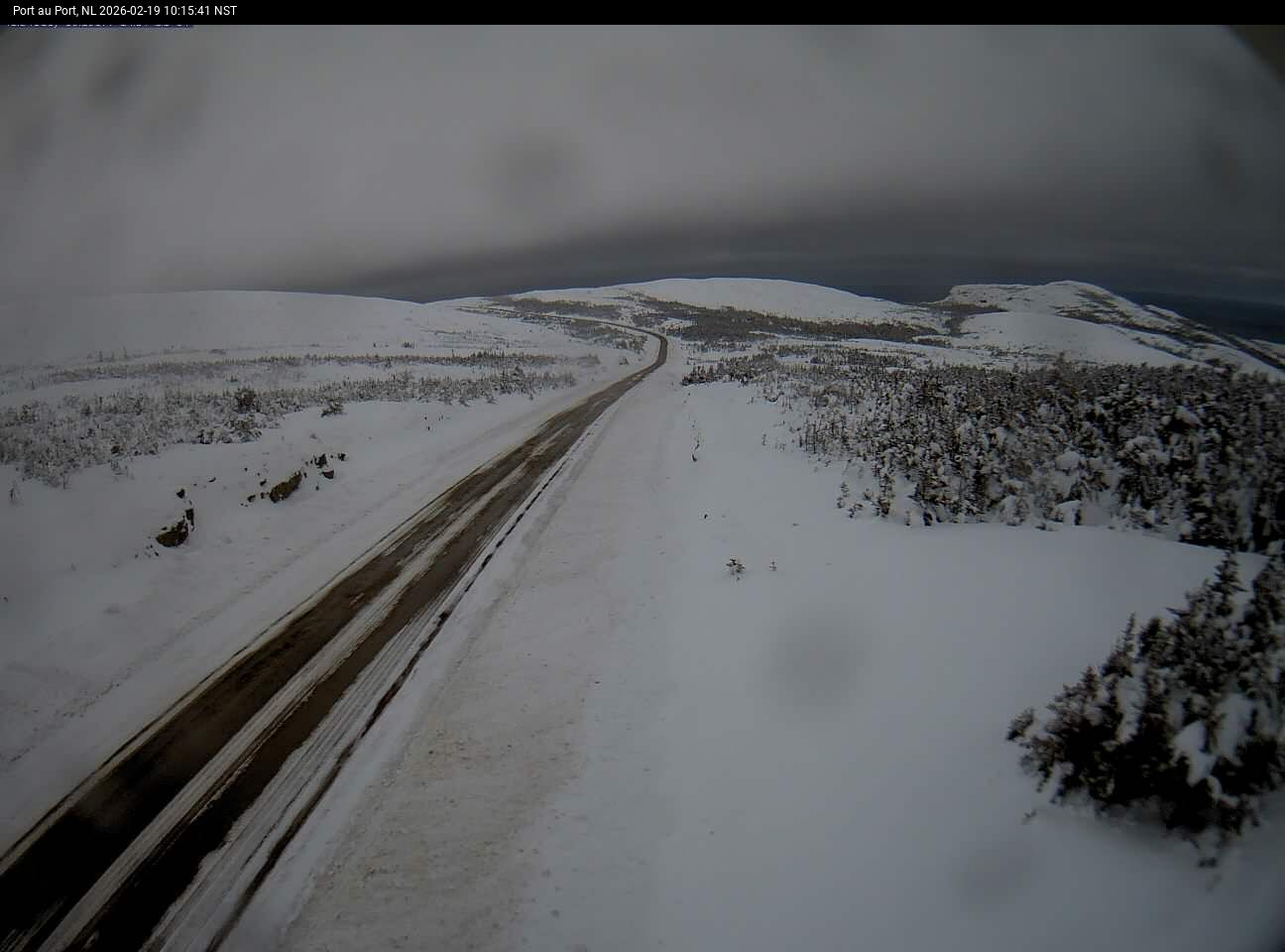 Port Au Port Live Camera Image