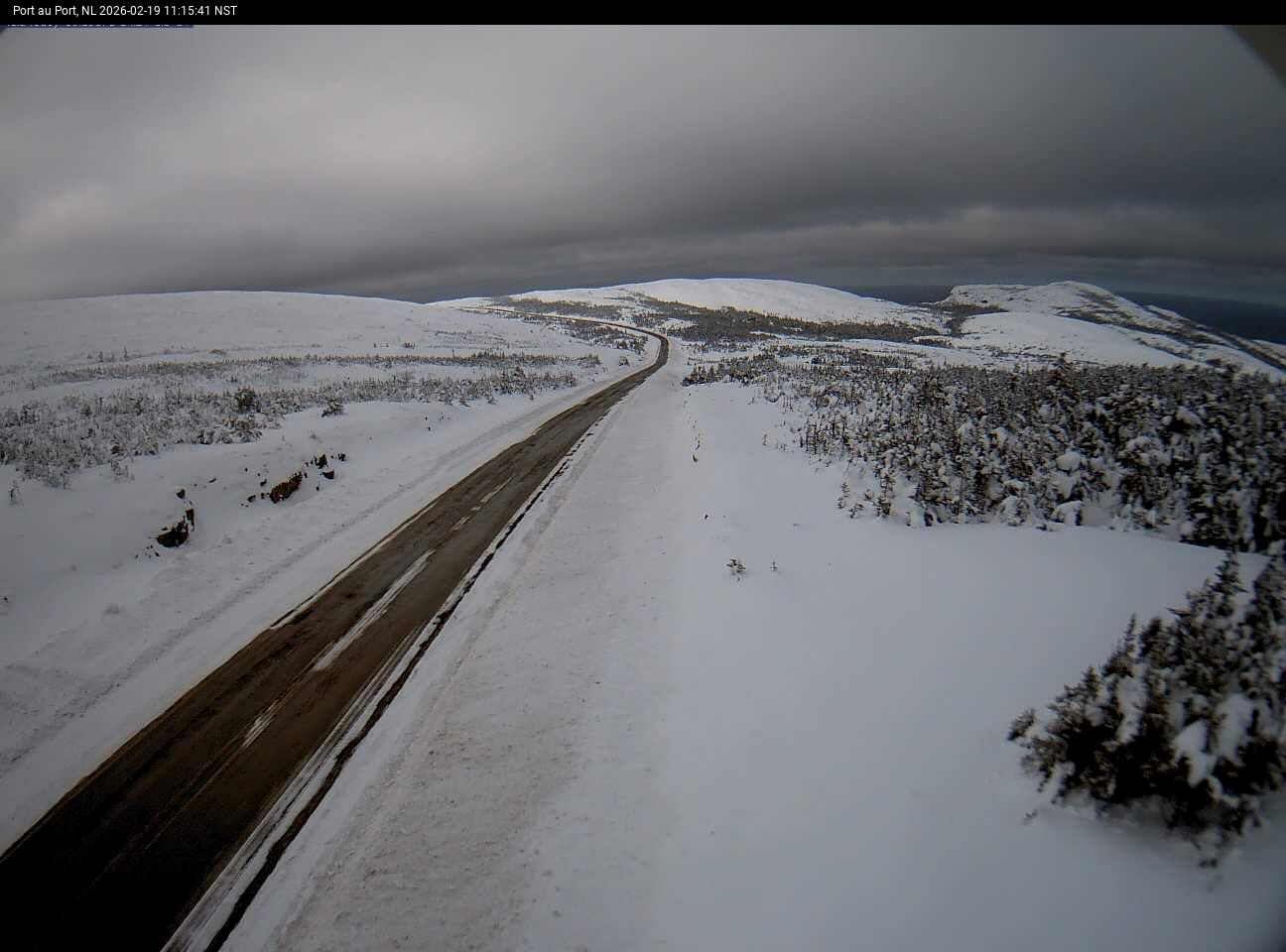 Port Au Port Live Camera Image