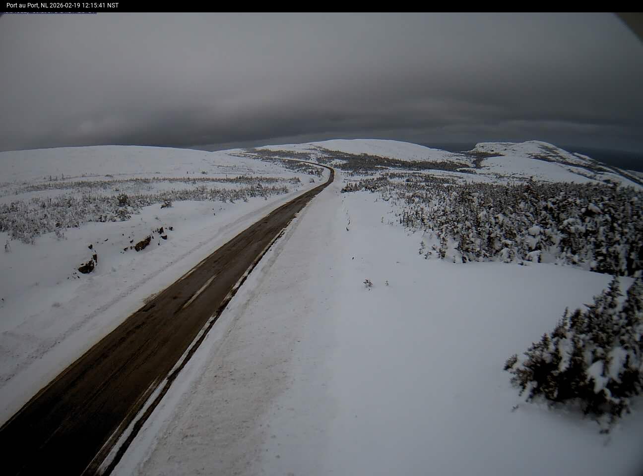 Port Au Port Live Camera Image