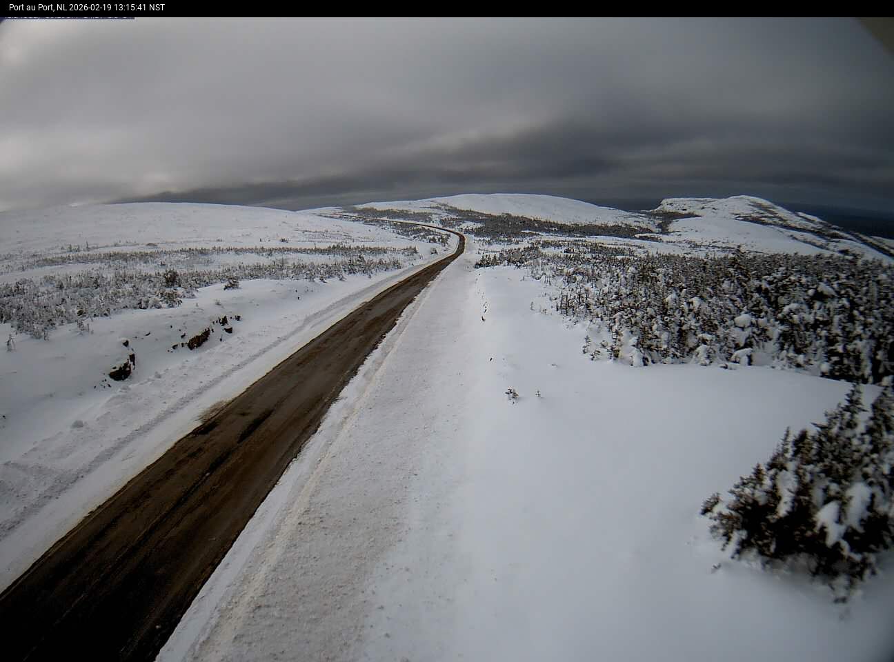 Port Au Port Live Camera Image