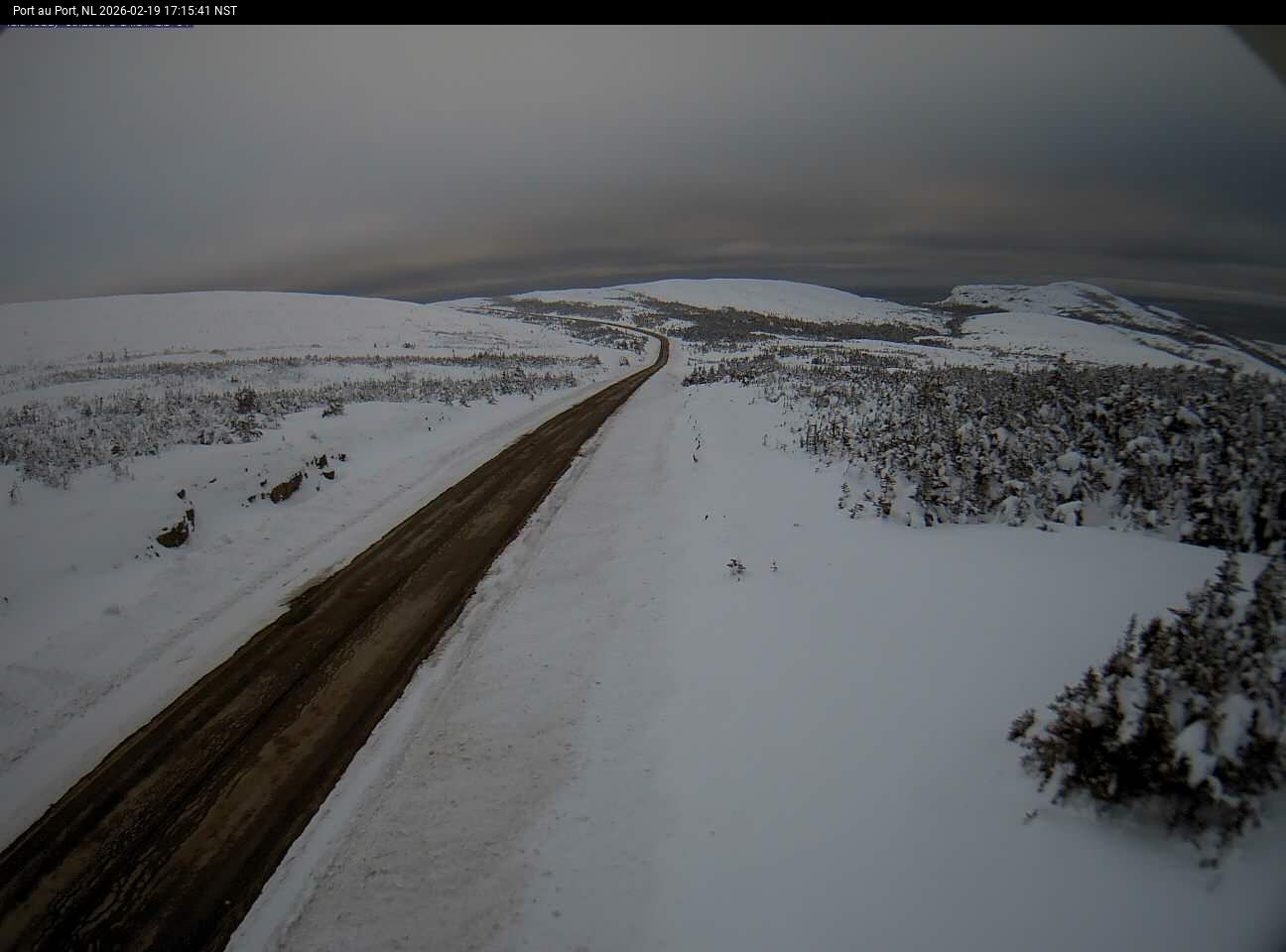 Port Au Port Live Camera Image