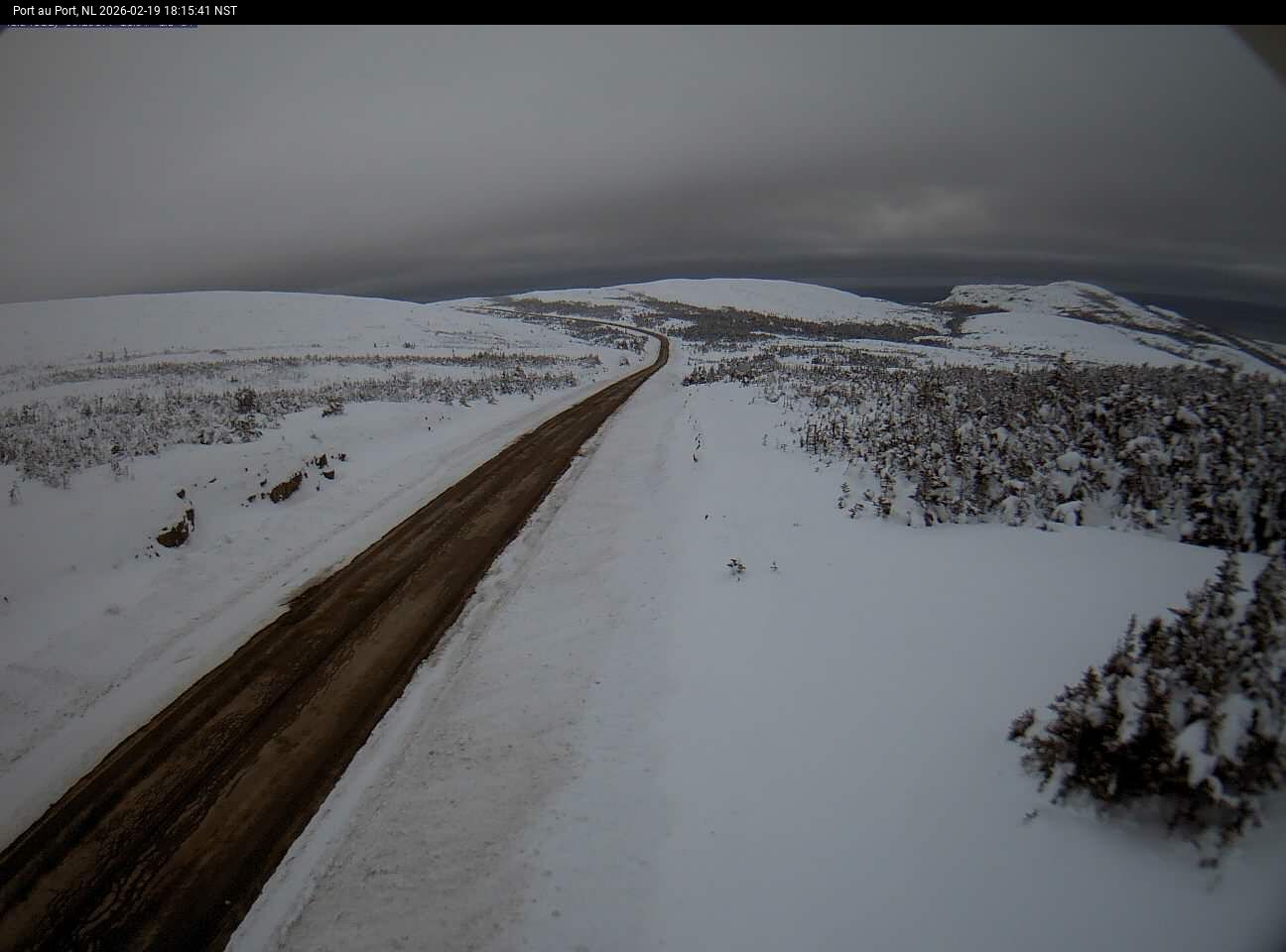 Port Au Port Live Camera Image