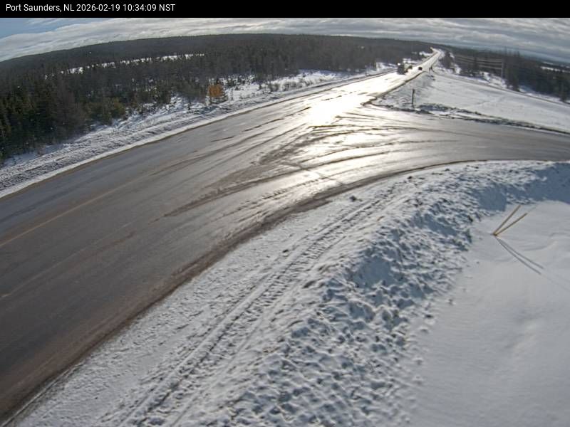 Port Saunders Live Camera Image