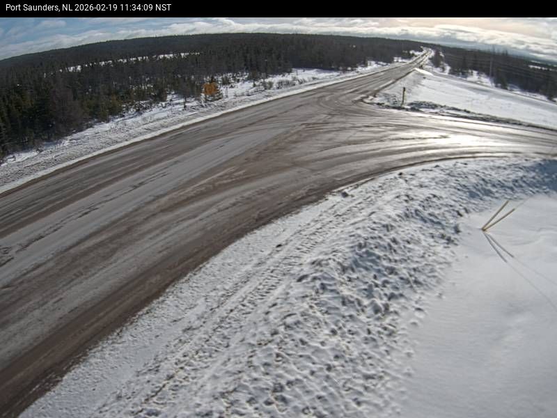 Port Saunders Live Camera Image
