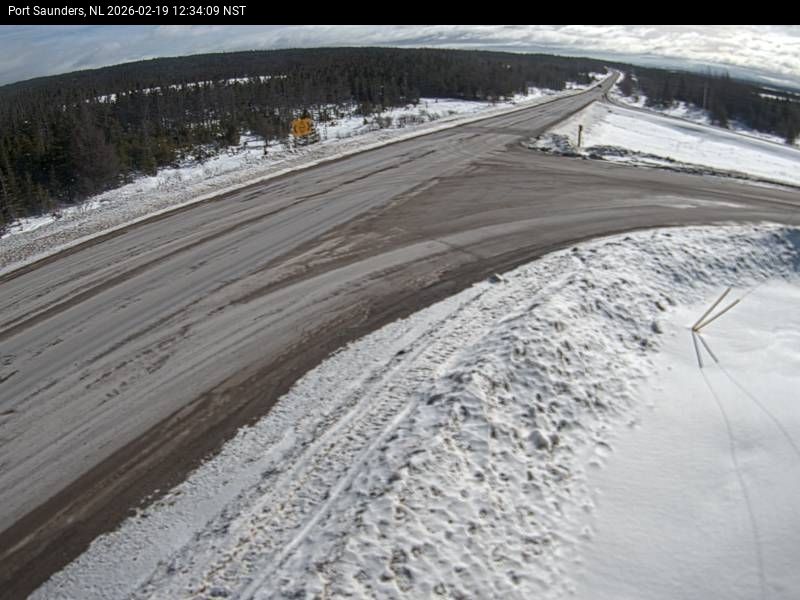Port Saunders Live Camera Image
