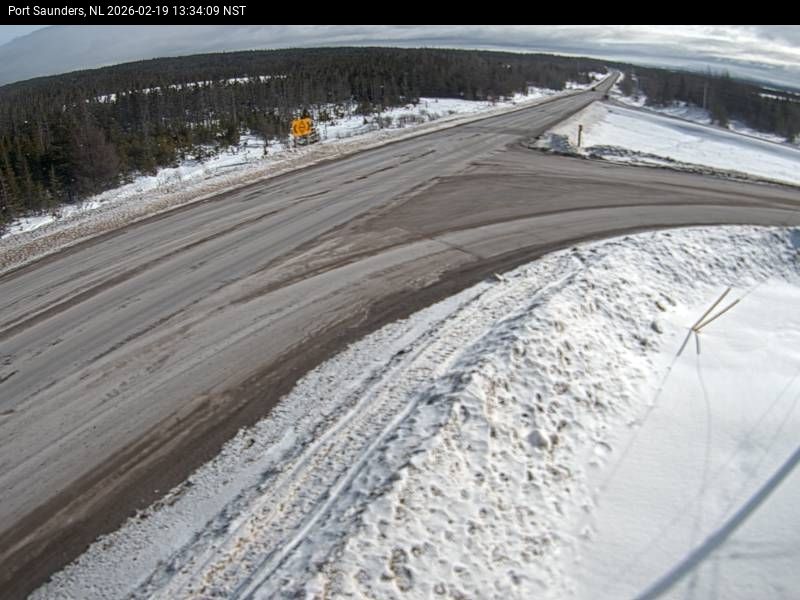 Port Saunders Live Camera Image