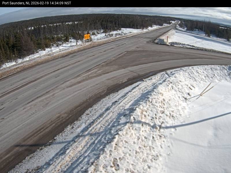 Port Saunders Live Camera Image