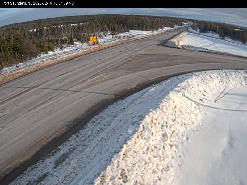 Port Saunders Live Camera Image