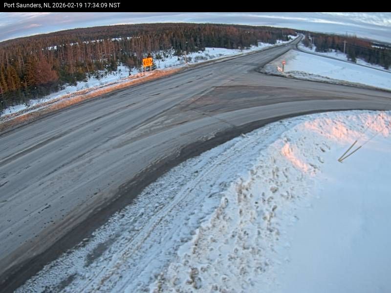 Port Saunders Live Camera Image