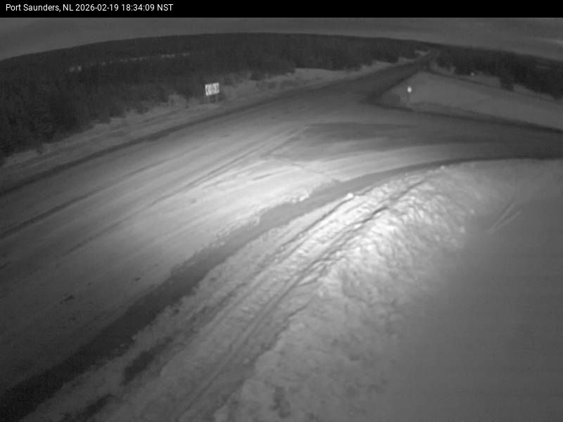 Port Saunders Live Camera Image