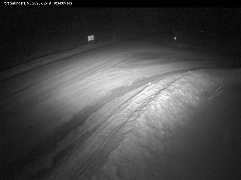 Port Saunders Live Camera Image