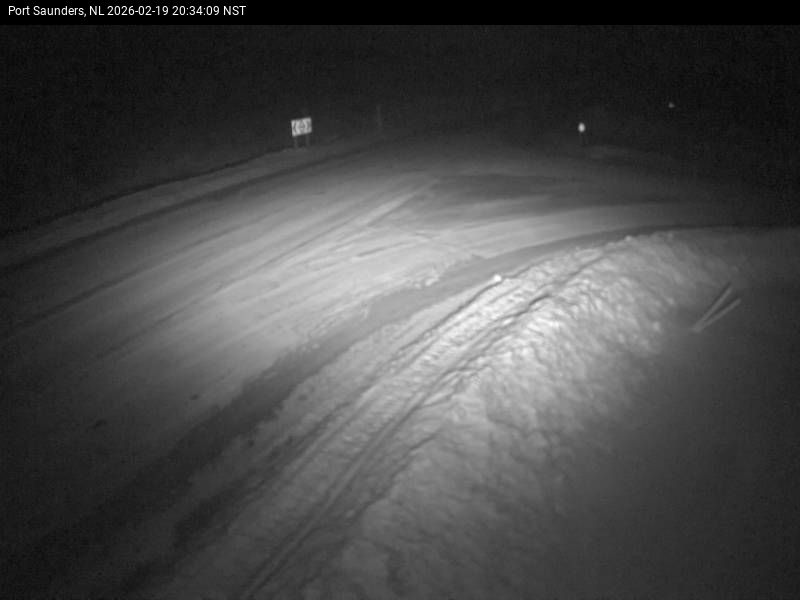 Port Saunders Live Camera Image