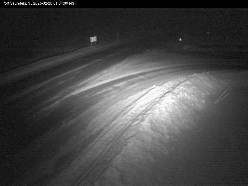 Port Saunders Live Camera Image