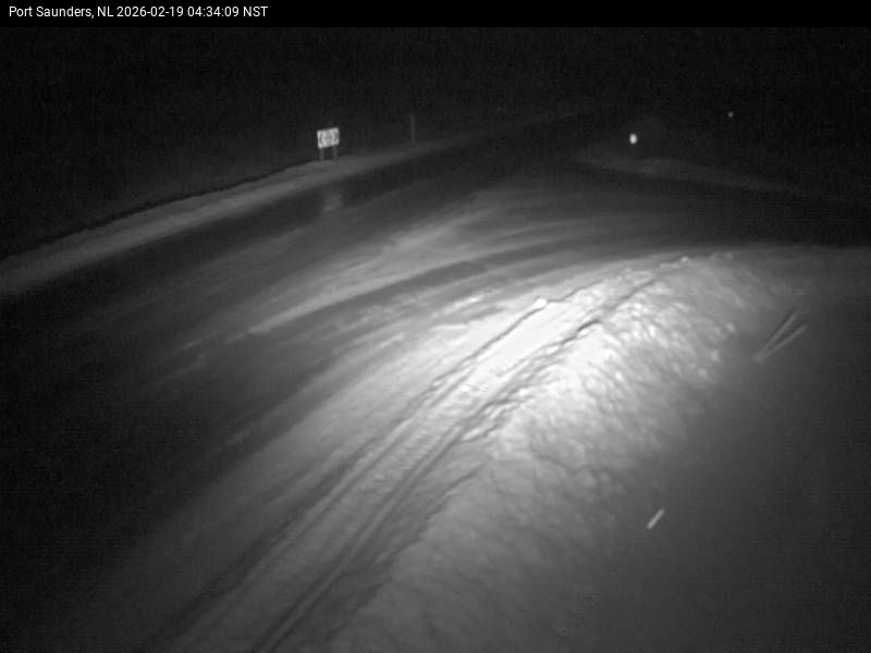 Port Saunders Live Camera Image