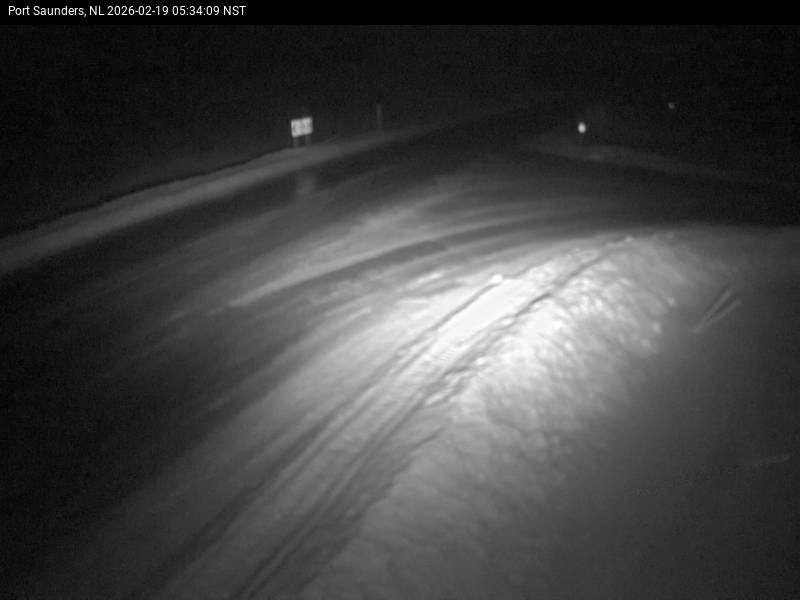 Port Saunders Live Camera Image