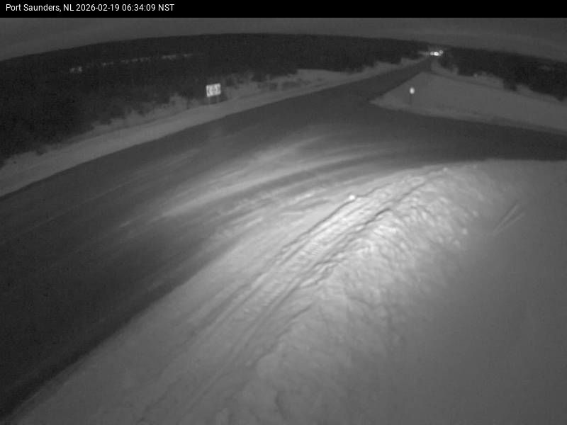 Port Saunders Live Camera Image