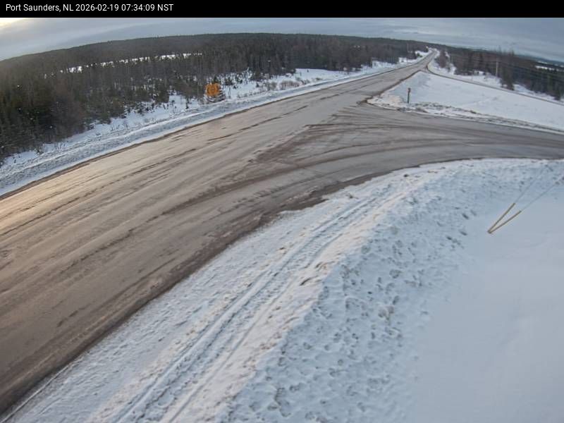Port Saunders Live Camera Image