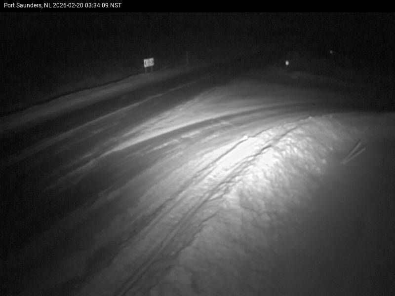 Port Saunders Live Camera Image