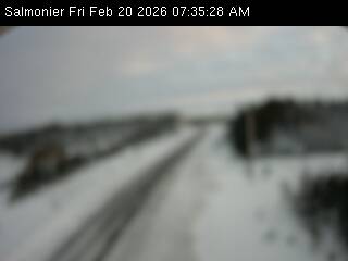 Salmonier Live Camera Image