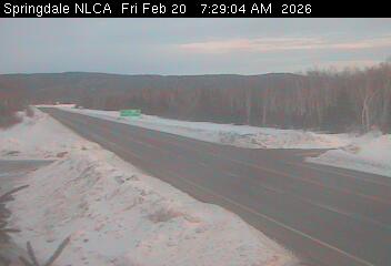 Springdale Live Camera Image