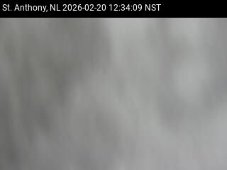 St. Anthony Live Camera Image
