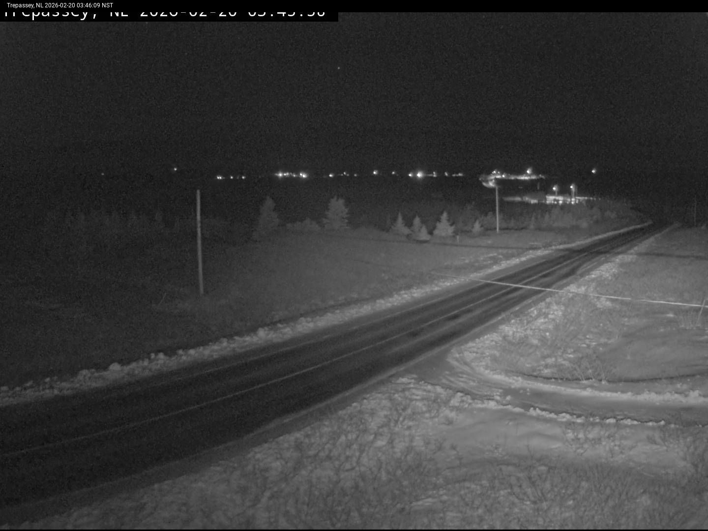 Trepassey Live Camera Image